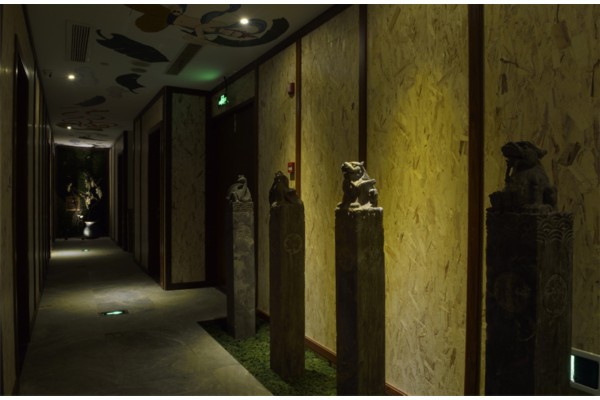 明星吴克群成都茶事，揭秘养生休闲好去处(吴克群是谁)