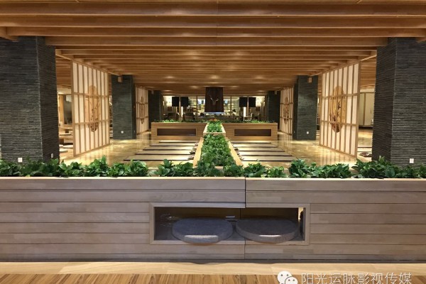 探索成都天府新区养生秘境(探索成都天府新区养生秘境的作文)